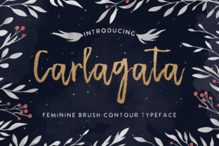 Carlagata: A Versatile Handwritten Typeface for Creative Projects