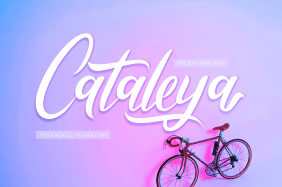 Cataleya: A Modern Script Font That Elevates Your Designs