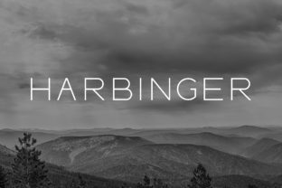 Harbinger: A Versatile Display Font for Modern Design