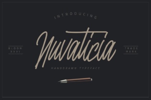 Nuvanticia: The Playful Script That Elevates Your Design