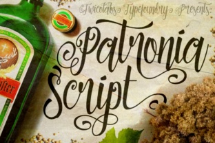 Patronia: A Strategic Choice for Bold, Handwritten Expression