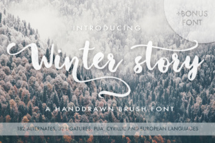 Winter Story: A Script Font with Winter Magic